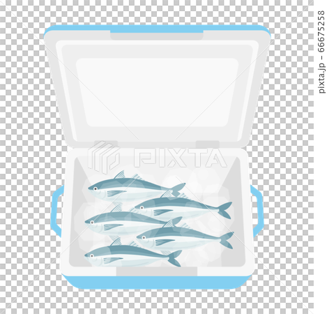 クーラーボックスに入った鯵のイラスト 66675258