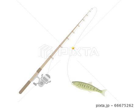 釣り竿とヤマメのイラスト 釣り竿とヤマメのイラスト 66675262