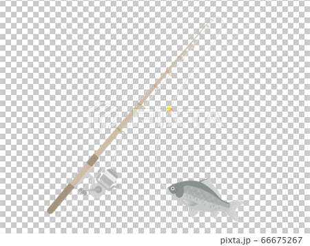 釣り竿とフナのイラスト 釣り竿とフナのイラスト 66675267