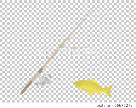 Illustration of fishing rod and carp Illustration of fishing rod and carp 66675272