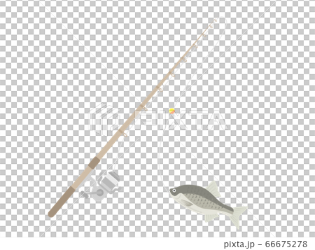 釣り竿とタナゴのイラスト 釣り竿とタナゴのイラスト 66675278