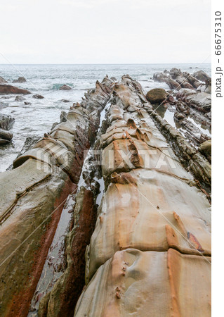 高知県　夏　竜串海岸 66675310
