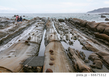 高知県 夏 竜串海岸 高知県 夏 竜串海岸 66675312