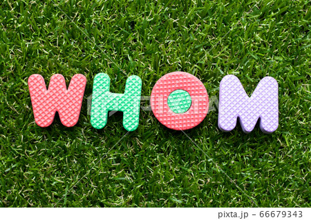 Toy foam letter in word whom on green grass Toy foam letter in word whom on green grass 66679343