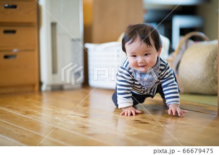 ハイハイする8ヶ月の赤ちゃん ハイハイする8ヶ月の赤ちゃん 66679475
