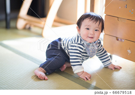 ハイハイする8ヶ月の赤ちゃん 66679518