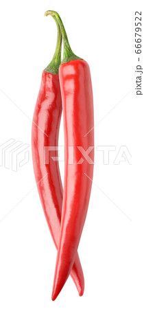 Two hot red chili peppers 66679522