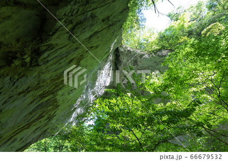 《岡山県》新緑の時期、羅生門第一洞の風景 66679532
