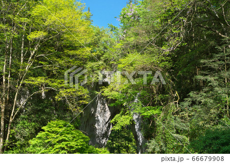 《岡山県》新緑の時期、羅生門第一洞の風景 66679908