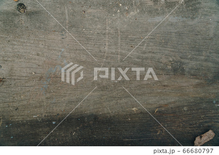 Abstract wooden background. Texture of an old tree 66680797