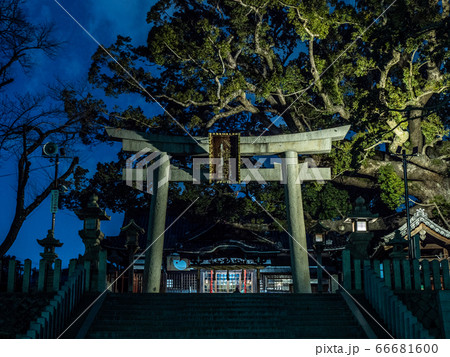 夜の百舌八幡宮 66681600