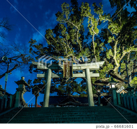 夜の百舌八幡宮 66681601