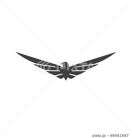 Falcon wing icon Template vector 66681687
