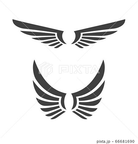 Falcon wing icon Template vector Falcon wing icon Template vector 66681690