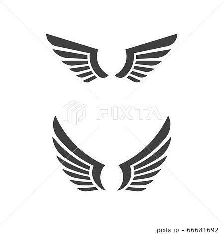 Falcon wing icon Template vector Falcon wing icon Template vector 66681692