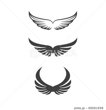 Falcon wing icon Template vector Falcon wing icon Template vector 66681698