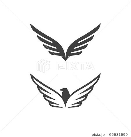 Falcon wing icon Template vector Falcon wing icon Template vector 66681699