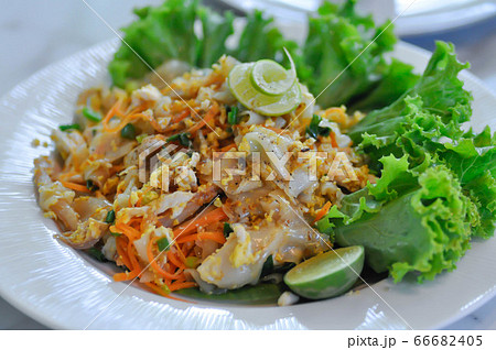noodles,stir fried noodles with chicken and egg 66682405