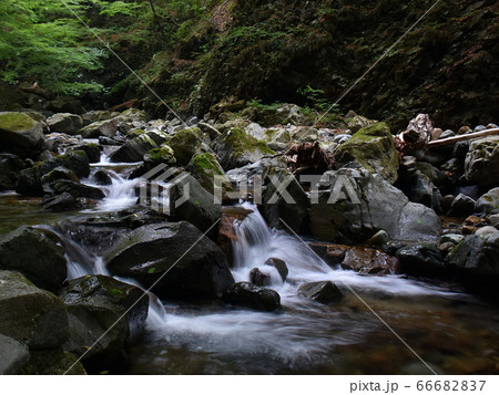 栃木県那須塩原市　竜化の滝 66682837