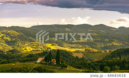 Beautiful landscape of Austrian vineyards in south Styria. Famous Tuscany like place to visit. 66683638