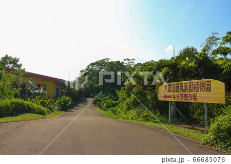 石垣島　八重山鍾乳洞植物園 66685076