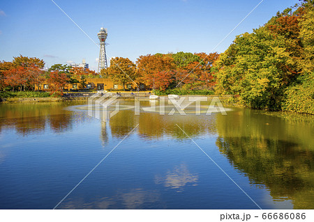 天王寺公園　河底池　 66686086