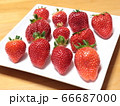 たくさんの種類の並んだいちご 66687000