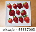 たくさんの種類の並んだいちご 66687003