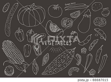夏野菜の手描きイラストセット 黒バック のイラスト素材