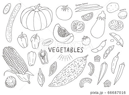 夏野菜の手描きイラストセットのイラスト素材