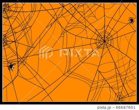 蜘蛛の巣の背景 66687601