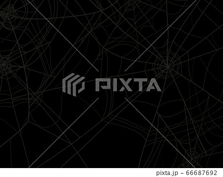 蜘蛛の巣の背景 66687692