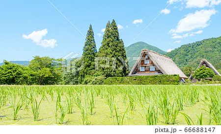 初夏の白川郷(昼) 初夏の白川郷(昼) 66688147