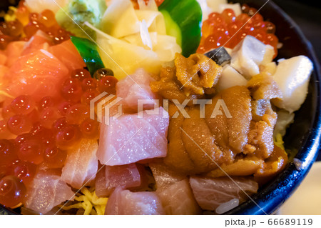 海鮮祭り寿司丼 接写 右側 海鮮丼 ちらし寿司 北海道 知床 斜里 海鮮祭り寿司丼 接写 右側 海鮮丼 ちらし寿司 北海道 知床 斜里 66689119