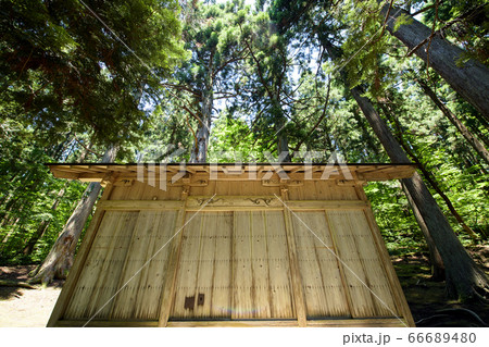 杉御神木 行太子神社 秋田県美郷町 杉御神木 行太子神社 秋田県美郷町 66689480