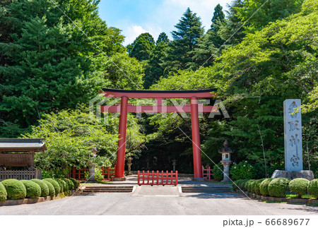 香取神宮朱塗りの大鳥居 66689677