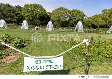 コロナによりバラの無い6月の神戸須磨離宮公園の噴水広場 コロナによりバラの無い6月の神戸須磨離宮公園の噴水広場 66690066