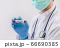 The doctor holds a test tube containing a blood sample 66690385