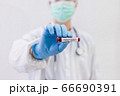 The doctor holds a test tube containing a blood sample that has no the result positive or negative for coronavirus. 66690391