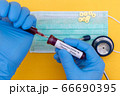 Hand holds a test tube containing a blood sample that has no the result positive or negative for coronavirus. 66690395