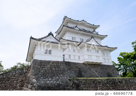 神奈川県 小田原城 天守 神奈川県 小田原城 天守 66690778