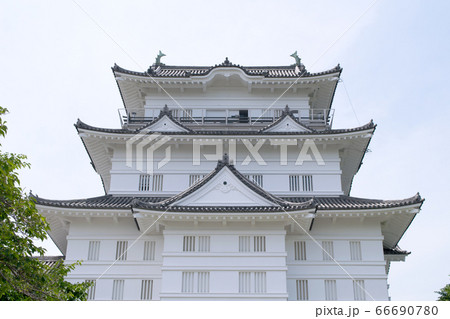 神奈川県 小田原城 天守 神奈川県 小田原城 天守 66690780