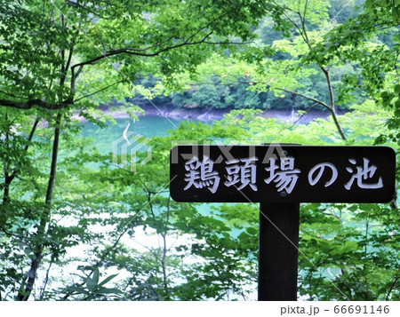 十二湖　鶏頭場の池 66691146