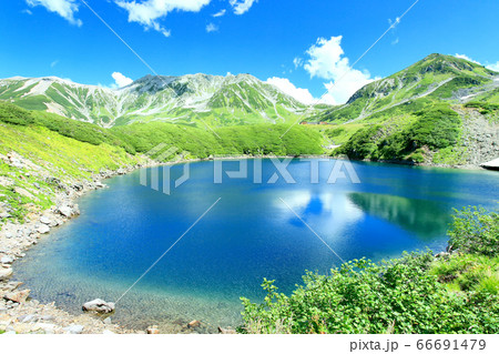 夏のみくりが池 66691479