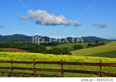 空と雲と大地~さかなぐも 空と雲と大地~さかなぐも 66692016