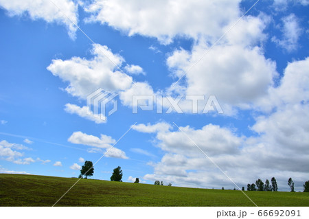 空と雲と大地~木々 空と雲と大地~木々 66692091