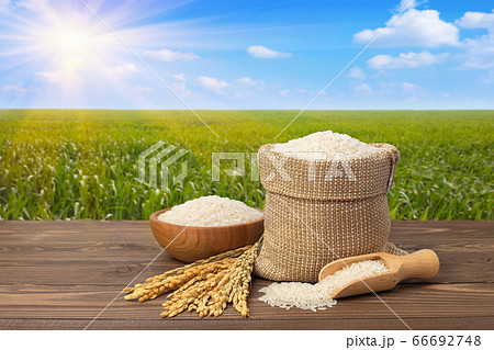 rice on table against the green field rice on table against the green field 66692748