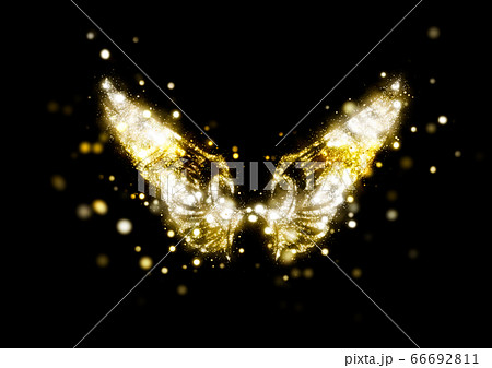 光輝く抽象的な金色の翼 66692811