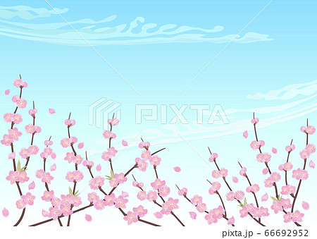 装飾背景-桃と青空 66692952