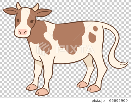 茶色い牛の手描き風イラストのイラスト素材